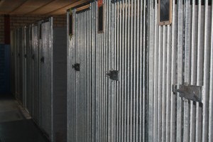 IMG_5474
